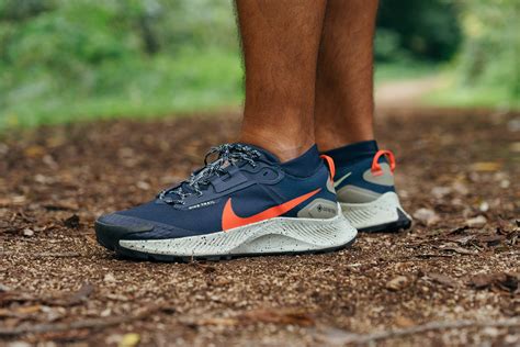 Nike PEGASUS TRAIL 5 GTX 